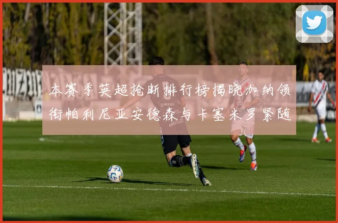 本赛季英超抢断排行榜揭晓加纳领衔帕利尼亚安德森与卡塞米罗紧随其后