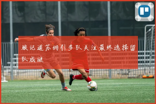 狼记道苏姆引多队关注最终选择留队成谜